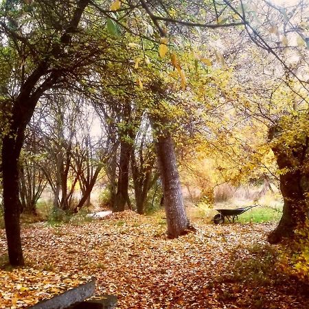 La Cabana De Gaia Сан Лоренсо де Ел Ескориал Екстериор снимка